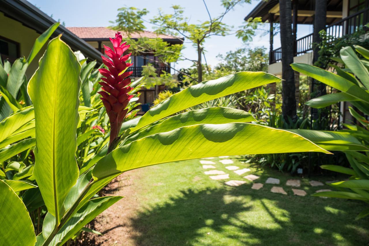 Dream Garden Hotel Arugam Bay Exterior photo