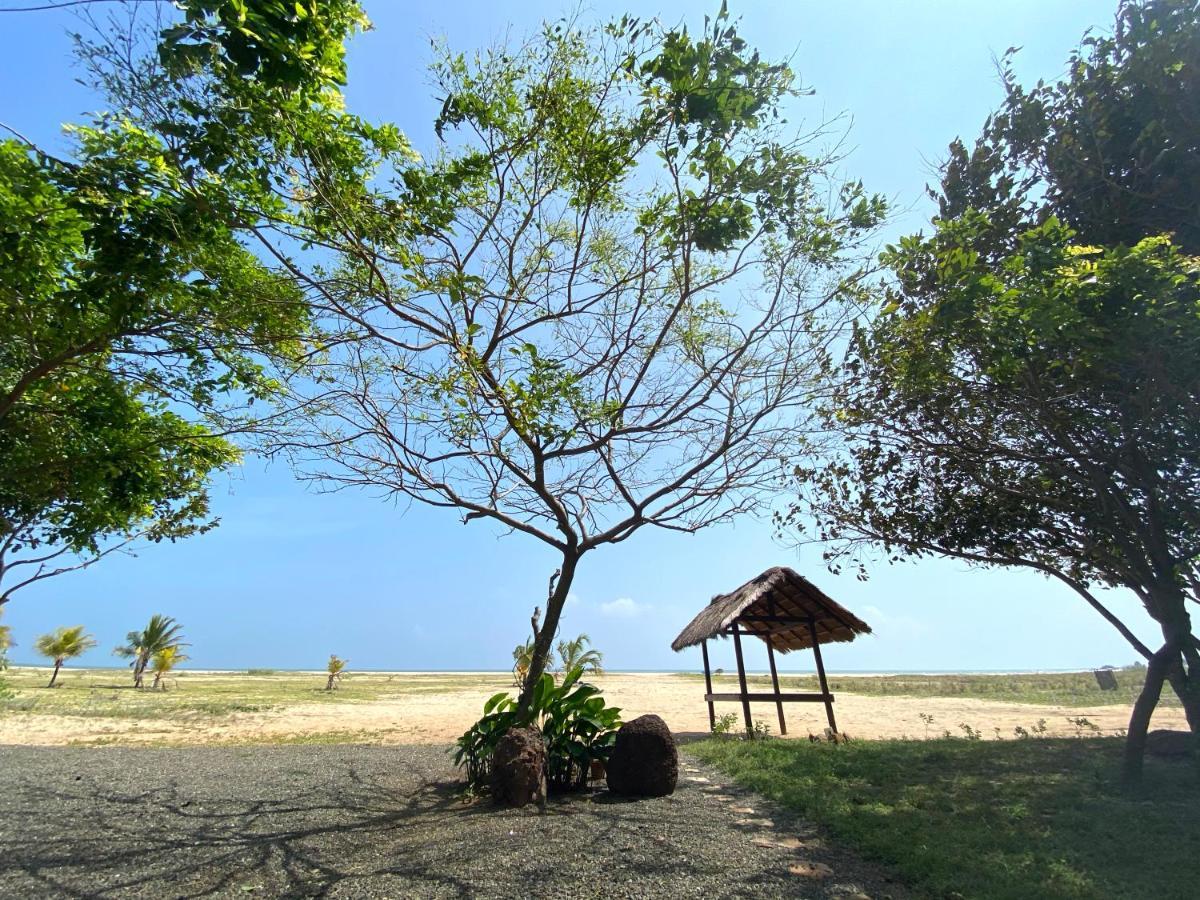 Dream Garden Hotel Arugam Bay Exterior photo